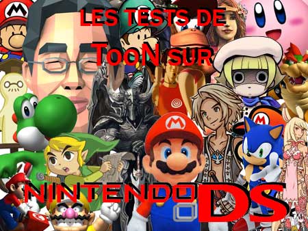 test jeux nintendo ds