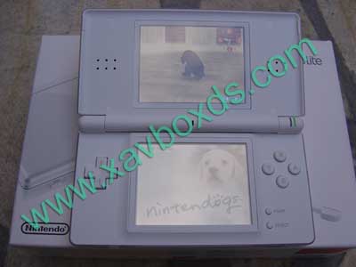 nintendo ds lite blanche