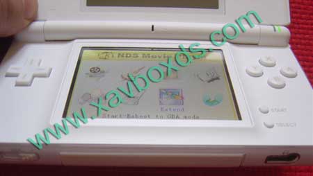 ds lite blanche