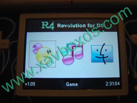 R4 DS revolution